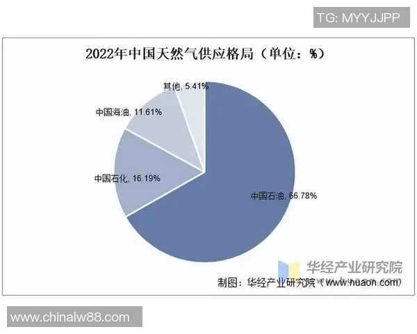 专业分析LNG市场的控制策略与应对方法探讨